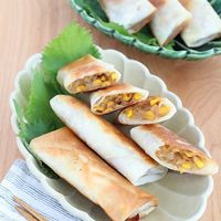 基本からアレンジまで！思わずつくりたくなる「春巻 形」のレシピ集