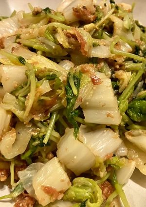 白菜と豆苗の梅おかか和え-レシピのメイン写真