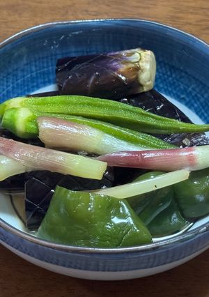 夏野菜の煮びたし-レシピのメイン写真