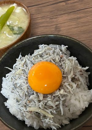 とってもカンタン「釜揚げしらす丼」-レシピのメイン写真