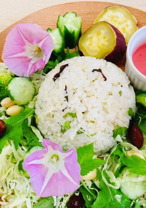 ガーデンサラダランチ-レシピのメイン写真