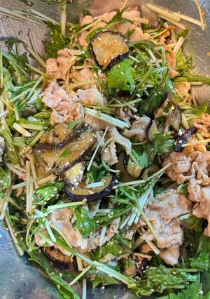 なすと水菜の冷しゃぶサラダ-レシピのメイン写真