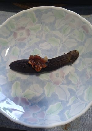 簡単　仙台なすの素焼き　鰹節生姜醤油ダレ-レシピのメイン写真