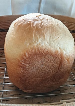 会社で焼きたてパン-レシピのメイン写真