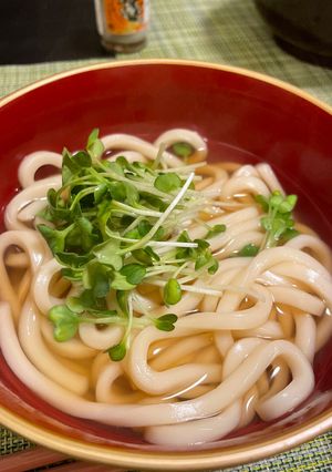 汁まで飲み干す美味しさ♡出汁たっぷり【素うどん】-レシピのメイン写真