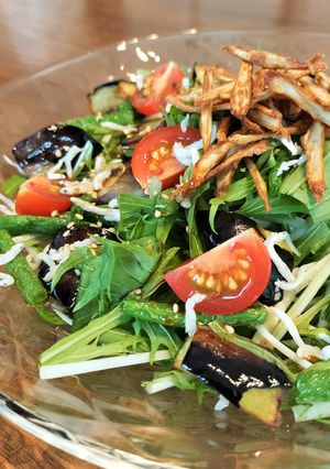揚げ野菜と水菜のサラダ-レシピのメイン写真