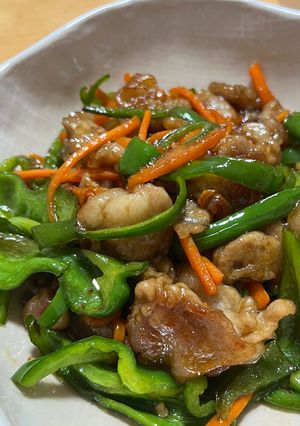 青椒肉絲チック！-レシピのメイン写真
