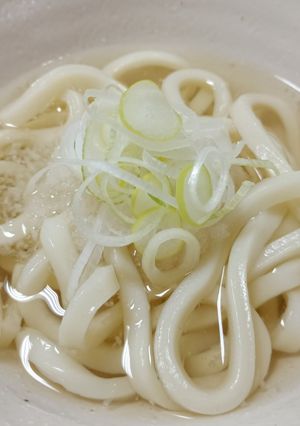 おろしあっさりうどん-レシピのメイン写真