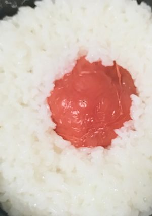 トマト丸ごと御飯-レシピのメイン写真