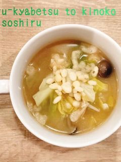 食べるスープ 春キャベツときのこの味噌汁-レシピのメイン写真