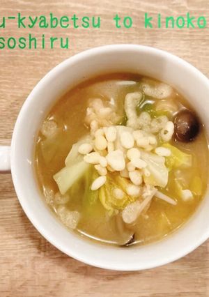 食べるスープ　春キャベツときのこの味噌汁-レシピのメイン写真