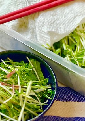 プロ直伝☆痛みにくい水菜の作り置きサラダ-レシピのメイン写真