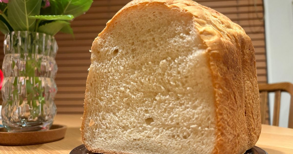 ツインバード 燕三条 おいしい低糖質パンベーカリー ホームベーカリー1