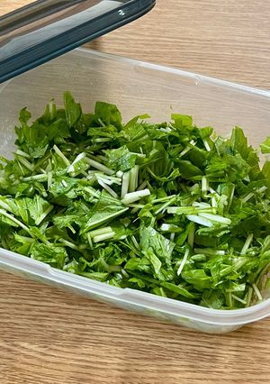 冷蔵庫の省スペースに！水菜の塩揉み保存と活用術-レシピのメイン写真