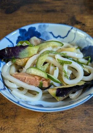 夏野菜とうどんのサラダ-レシピのメイン写真
