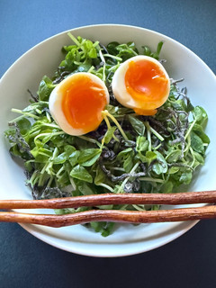 お助け豆苗でモシャモシャ食べる塩昆布和え-レシピのメイン写真