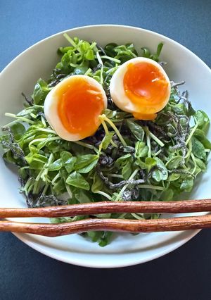 お助け豆苗でモシャモシャ食べる塩昆布和え-レシピのメイン写真