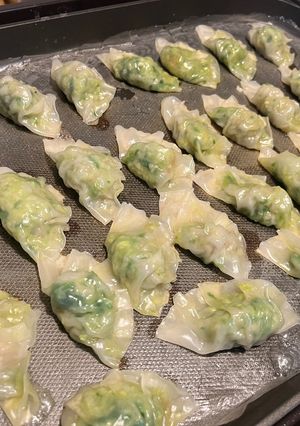 半端野菜で節約餃子-レシピのメイン写真