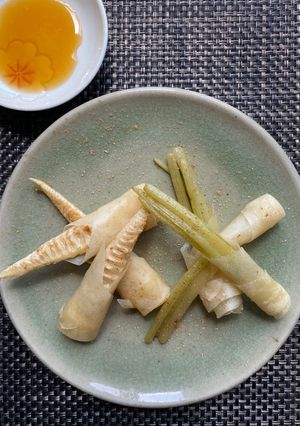 竹の子とふきのとうの春巻き-レシピのメイン写真