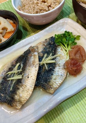 12分放置✳︎イワシの梅煮-レシピのメイン写真