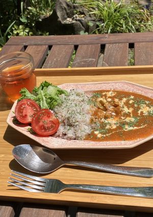 鎌倉チャロズカレーのチキンスパイスカレー-レシピのメイン写真