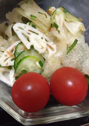 れんこんと冬瓜梅しそサラダ-レシピのメイン写真