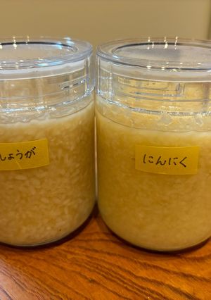 しょうが塩麹・にんにく塩麹-レシピのメイン写真
