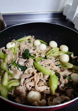 チンゲン菜と豚肉の炒めもん-レシピのメイン写真