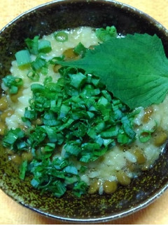納豆卵ご飯:お手軽でとても美味しいです-レシピのメイン写真