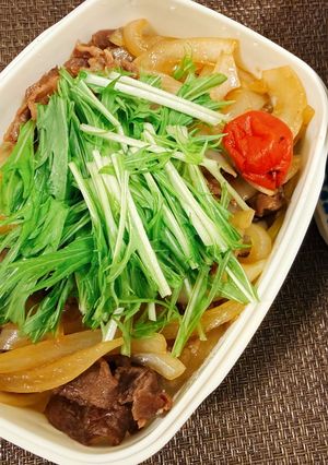 7分で牛丼弁当😻-レシピのメイン写真
