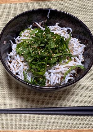 しらすで火を使わず簡単、すぐできた丼-レシピのメイン写真