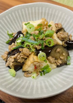 茄子と厚揚げの甘辛ひき肉炒め-レシピのメイン写真