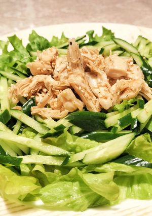 レンチンでしっとり!鶏ささ身の中華サラダ-レシピのメイン写真