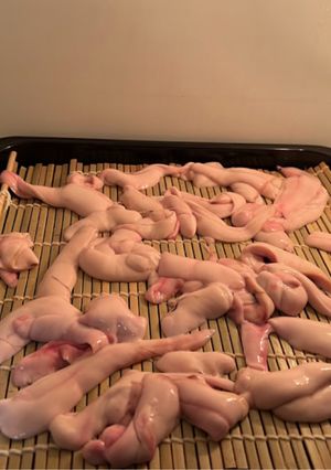 ニシンの白子の一夜干し-レシピのメイン写真