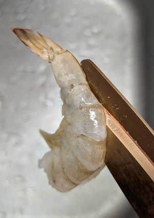 キッチンばさみで海老の下処理-レシピのメイン写真