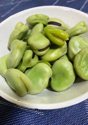 【初心者向け】そら豆の茹で方-レシピのメイン写真