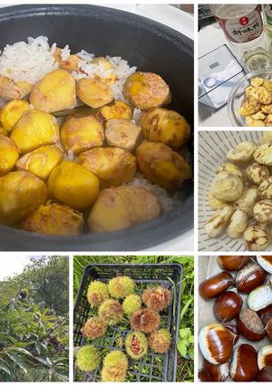 栗ご飯（2026）-レシピのメイン写真