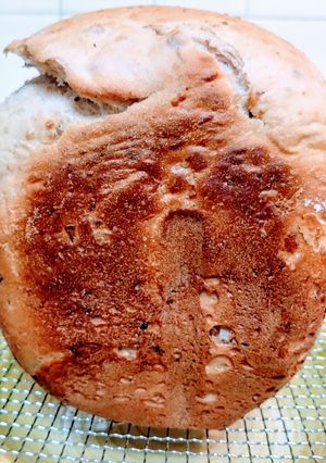 簡単！ＨＢキタノカオリ雑穀玄米食パン-レシピのメイン写真