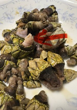 亀の手の酒蒸し醤油-レシピのメイン写真