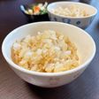 究極のシンプル飯!醤油だけ炒めご飯