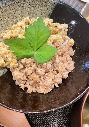 食物繊維をプラス♪えのき甘辛そぼろ丼-レシピのメイン写真