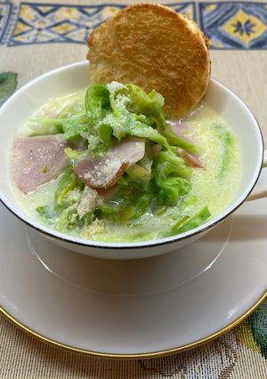 春キャベツのクリーム煮-レシピのメイン写真