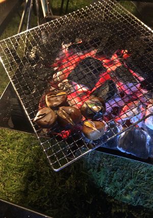 キャンプで簡単焼き栗-レシピのメイン写真