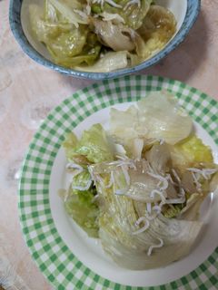 簡単★レタスとしらすのサラダ-レシピのメイン写真