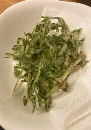 木の芽の天ぷら-レシピのメイン写真