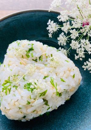 ノラニンジンのおにぎり-レシピのメイン写真