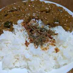 A picture of 夏野菜 キーマカレー.