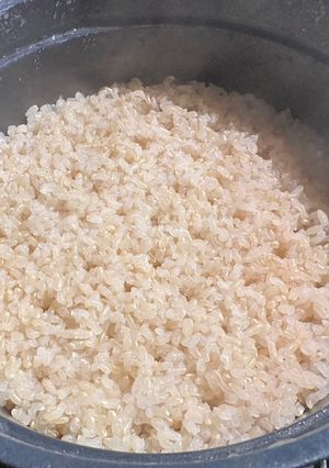 土鍋で炊く玄米ご飯(3合)-レシピのメイン写真
