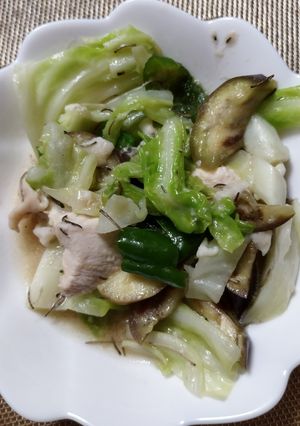 鶏むね肉とキャベツの炒め物-レシピのメイン写真