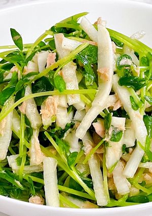 豆苗と大根のツナサラダ-レシピのメイン写真